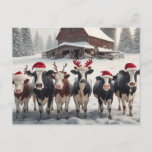 Funny Christmas Cows Postcard<br><div class="desc">Funny Christmas Cows in a snowy pasture in front of a red barn</div>