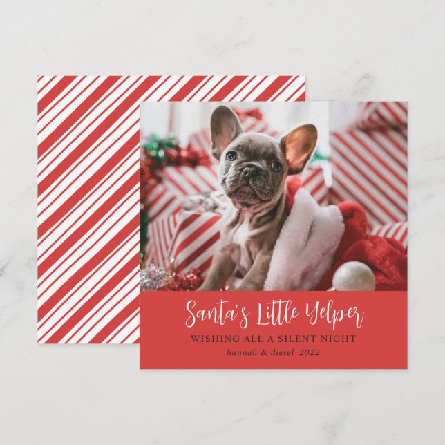 Funny Christmas Cute Pet Photo Red Holiday Card (Front/Back)