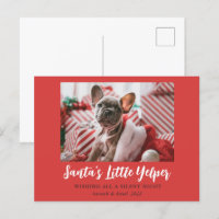 Funny Christmas Cute Pet Photo Red White