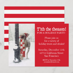 Funny Christmas Dog Licks Pole Invite