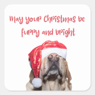 funny christmas dog square sticker