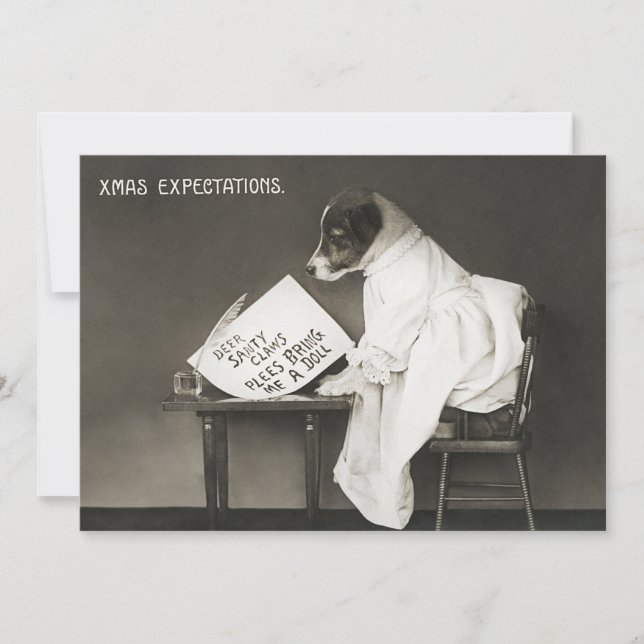 Funny Christmas Dog Xmas Expectations Holiday (Front)