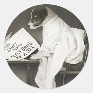 Funny Christmas Dog Xmas Expectations Holiday Classic Round Sticker