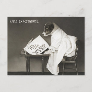 Funny Christmas Dog Xmas Expectations Holiday Postcard