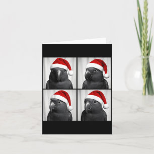 Funny Christmas Eclectus Parrot Santa Photo Booth Card