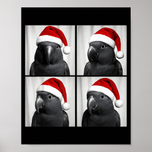 Funny Christmas Eclectus Parrot Santa Photo Booth Poster