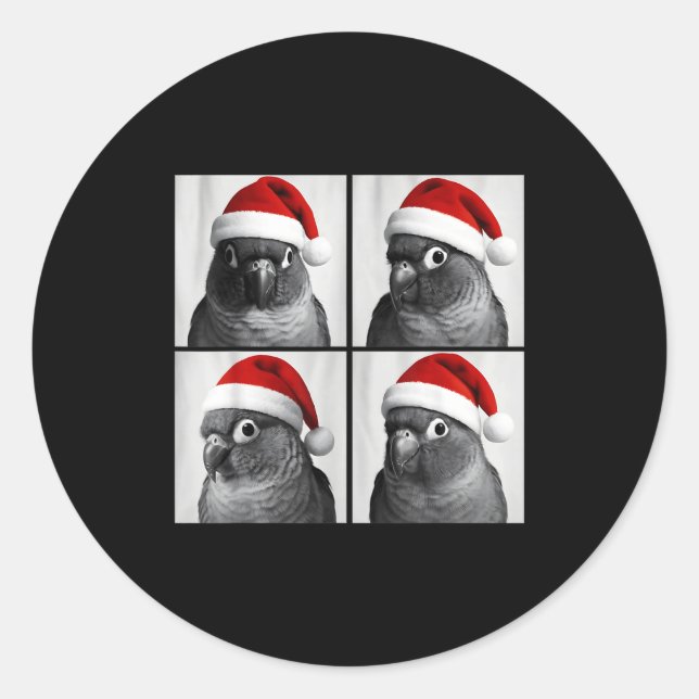 Funny Christmas Green Cheek Conure Santa Photo Boo Classic Round Sticker (Front)