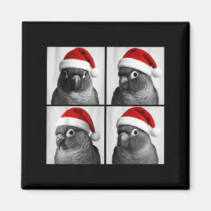 Funny Christmas Green Cheek Conure Santa Photo Boo Magnet