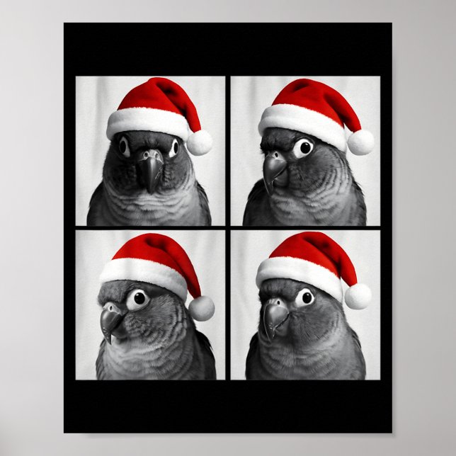 Funny Christmas Green Cheek Conure Santa Photo Boo Poster (Front)
