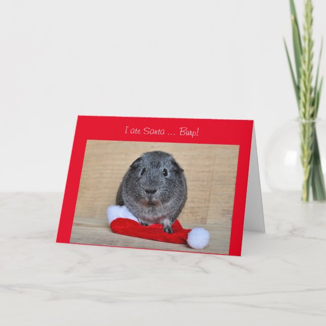 Funny Christmas Guinea Pig ate Santa customised Holiday Card (Front)