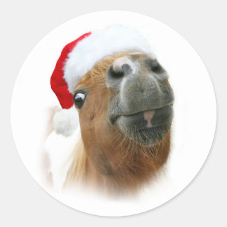 Funny Christmas horse Classic Round Sticker
