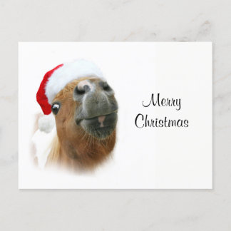 Funny Christmas horse Holiday Postcard