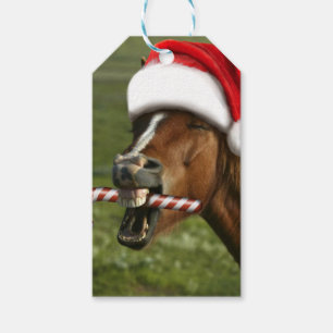 Funny Christmas horse with Santa hat smiling Gift Tags