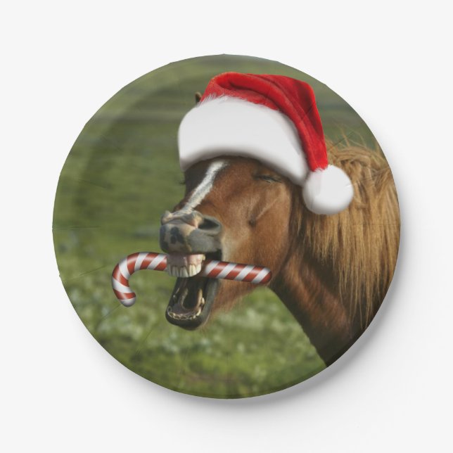 Funny Christmas horse with Santa hat smiling Paper Plate (Front)