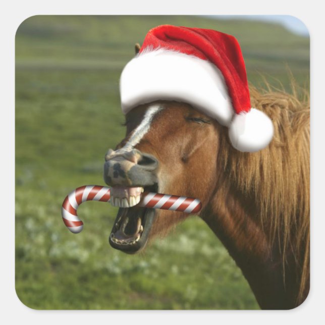 Funny Christmas horse with Santa hat smiling Square Sticker (Front)