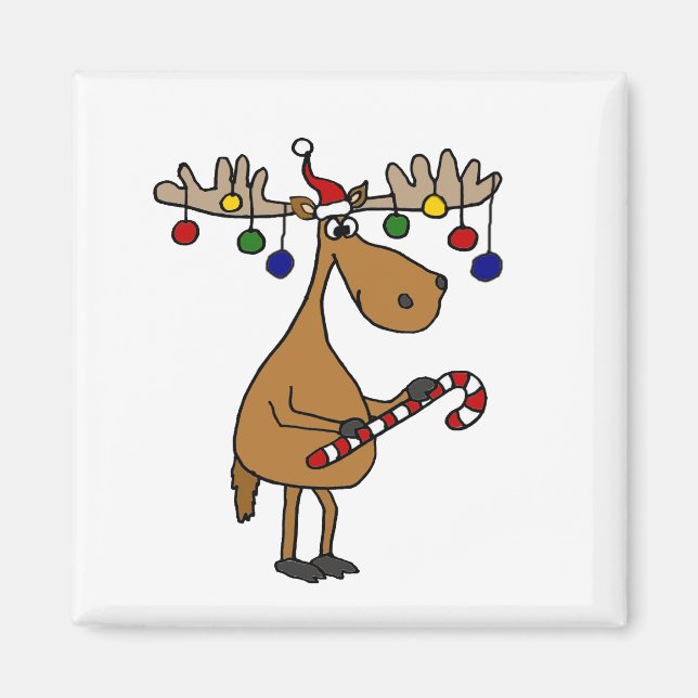 Funny Christmas Moose with Ornaments Magnet (Front)