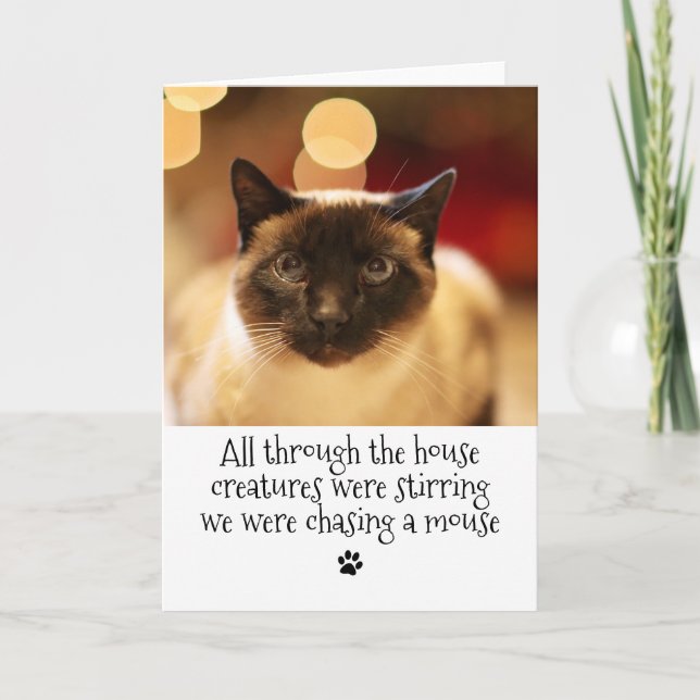 Funny Christmas Pet Cat Holiday Card (Front)