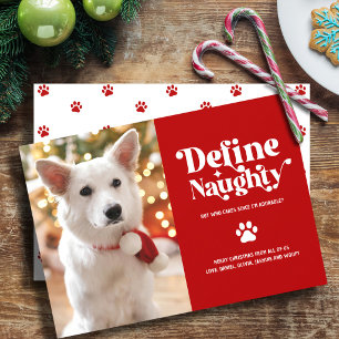 Funny Christmas Pet Photo Define Naughty on Red Holiday Card