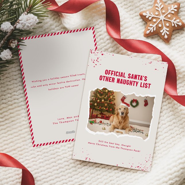 Funny Christmas Picture With Cute Dogs Holiday Card (Creator Uploaded)