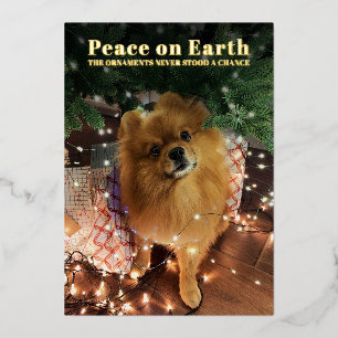 Funny Christmas Pomeranian Dog Peace on Earth Foil Holiday Card