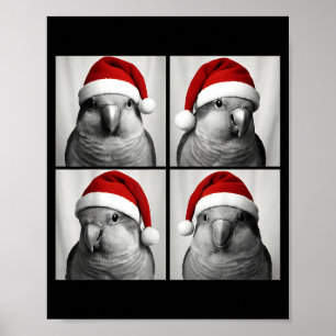 Funny Christmas Quaker Parrot Santa Photo Booth Poster