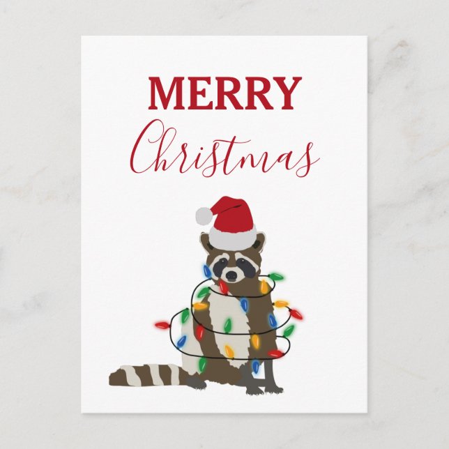 Funny Christmas Racoon Santa Hat Xmas Lights Holiday Postcard (Front)