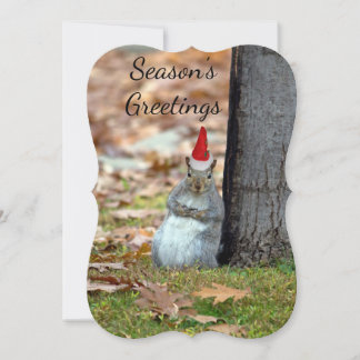 Funny Christmas Santa Greeting card