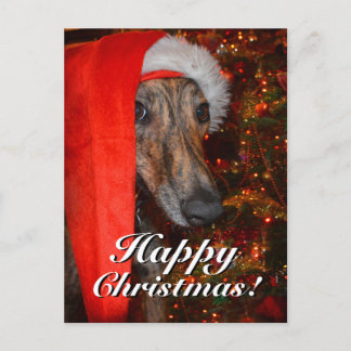 Funny Christmas Santa Greyhound Lurcher Holiday Postcard