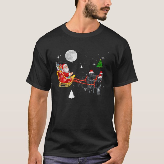 Funny Christmas Santa Riding Black Lab Santa Hat X T-Shirt (Front)