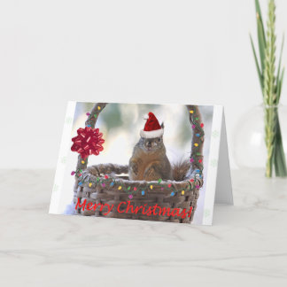 Funny Christmas Squirrel Holiday Card