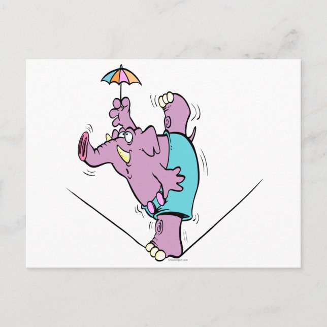 funny circus elephant on tightrope postcard (Front)