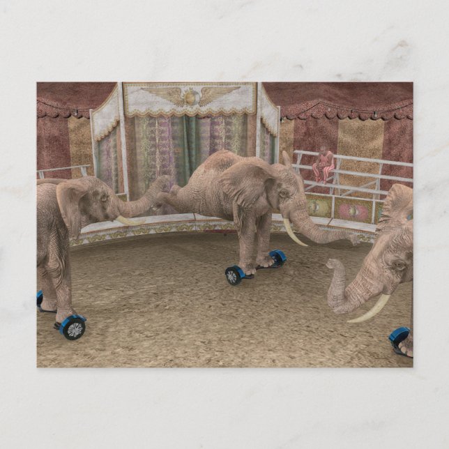 Funny Circus Elephants Postcard (Front)