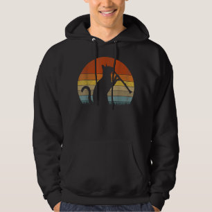 Funny Clarinet Cat Clarinet Player Musician Retro Hoodie