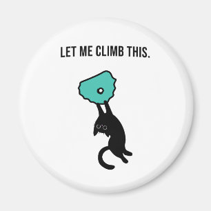 Funny Climbing Cat Catches Climbing Hold Magnet