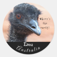 Funny close up of an Emu in Australia