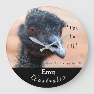 Funny close up of an Emu in Australia Large Clock
