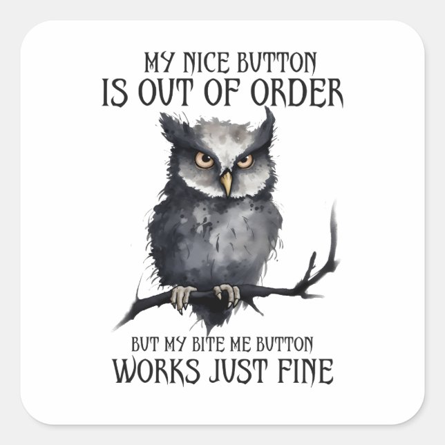 Funny Co-Worker | My Nice Button Is Out of Order Square Sticker (Front)