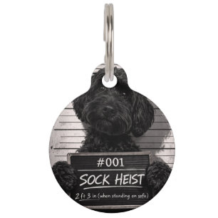 Funny Cockapoo Sock Heist Mugshot Pet Tag