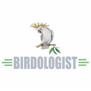 Funny Cockatiel Standing Photo Sculpture