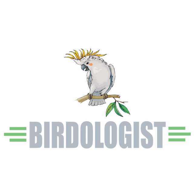 Funny Cockatiel Standing Photo Sculpture (Front)