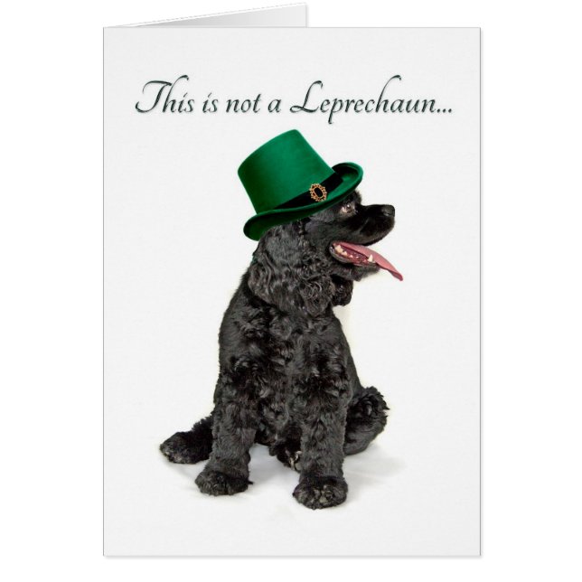 Funny Cocker Spaniel Leprechaun Card (Front)