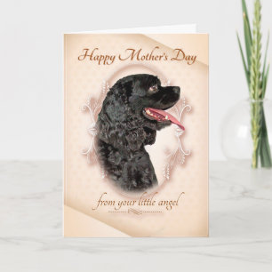 Funny Cocker Spaniel Mother's Day Card