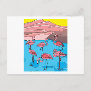 Funny Colourful Flamingos Free Nature Postcard