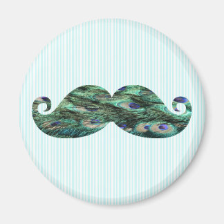 Funny  Colourful Peacock Feathers Moustache Magnet