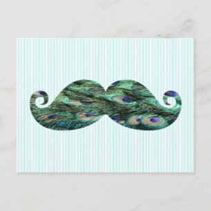 Funny  Colourful Peacock Feathers Moustache Postcard