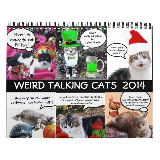 FUNNY COMIC STRIPS FROM WEIRD TALKING CATS 2014 CALENDAR (Cover)