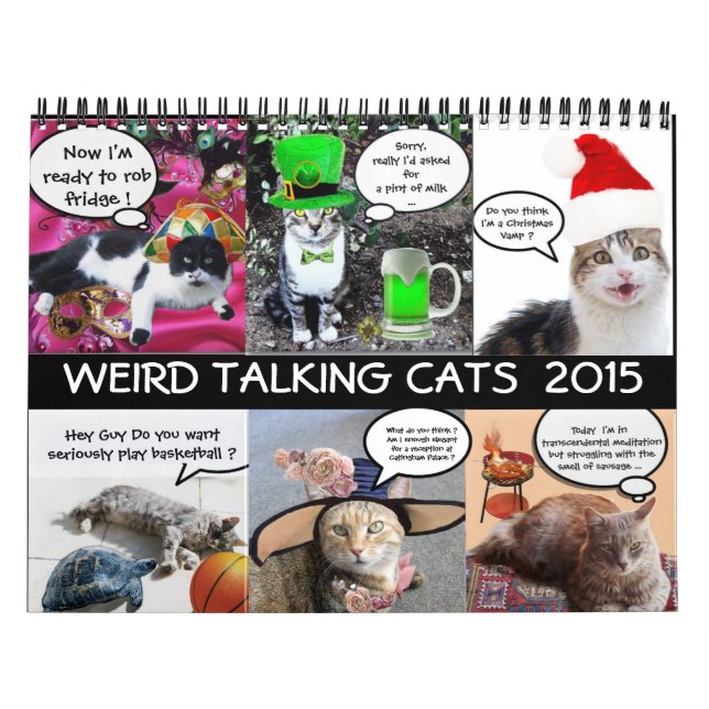 FUNNY COMIC STRIPS FROM WEIRD TALKING CATS 2015 CALENDAR (Cover)