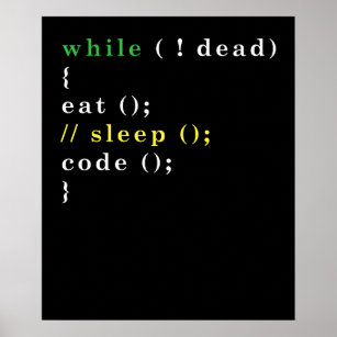 Funny Computer Science Programmer Eat Sleep Code Poster