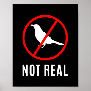 Funny Conspiracy Theory Birds Are A Lie Meme Poster