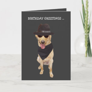 Funny Cool Dog/Lab from Group Card